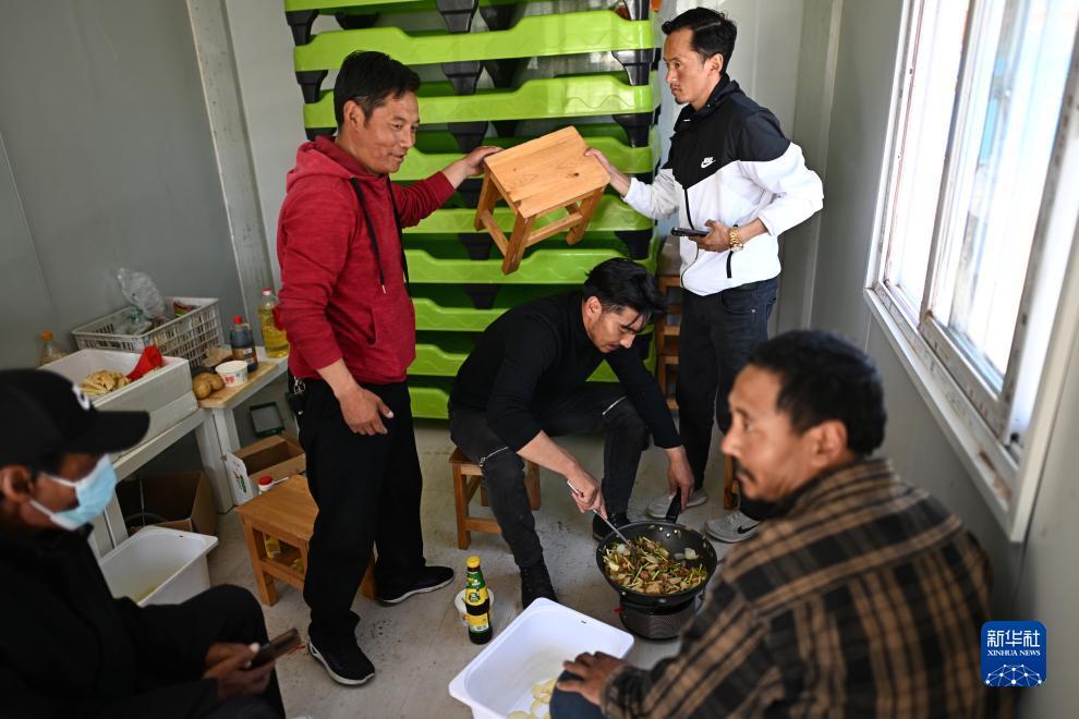 白菜现金网官方网站